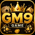GM9 Game